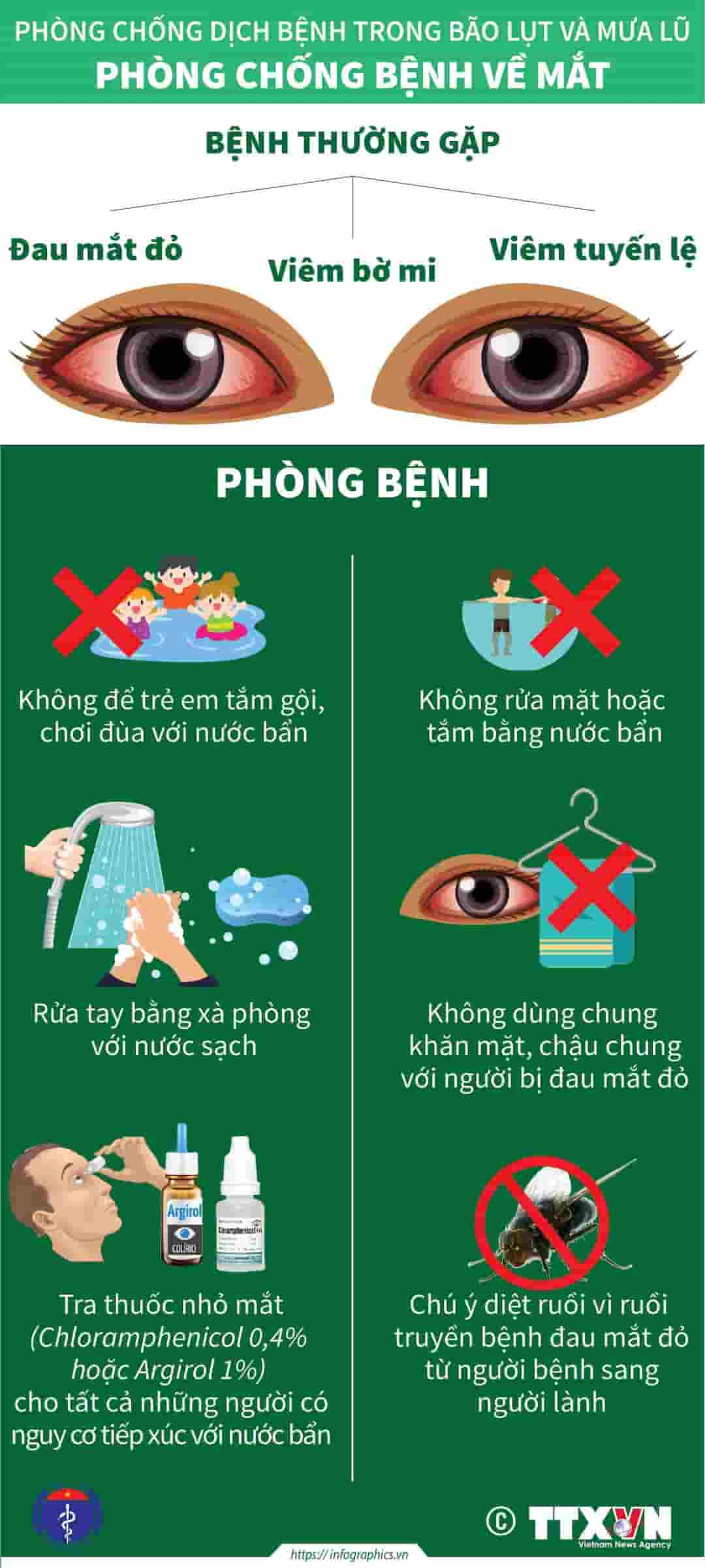 Các bệnh thường gặp là đau mắt đỏ, viêm bờ mi, viêm tuyến lệ.