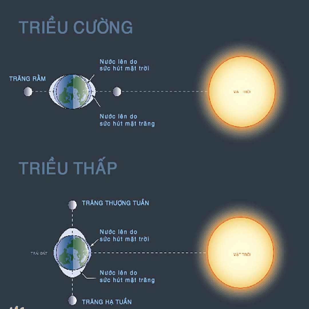 Hiện tượng thủy triều