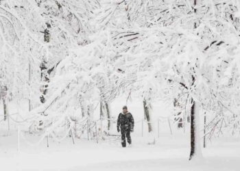 Bão tuyết khiến cho mọi thứ bị bao phủ trắng xóa