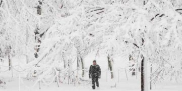 Bão tuyết khiến cho mọi thứ bị bao phủ trắng xóa