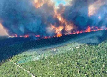 Biến đổi khí hậu là nguy cơ dẫn đến cháy rừng