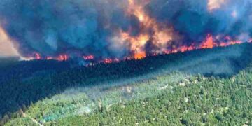 Biến đổi khí hậu là nguy cơ dẫn đến cháy rừng