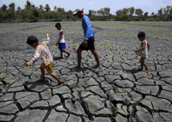 Chính phủ nên áp dụng quy định phòng chống hạn phù hợp 