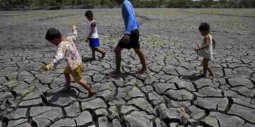 Chính phủ nên áp dụng quy định phòng chống hạn phù hợp 