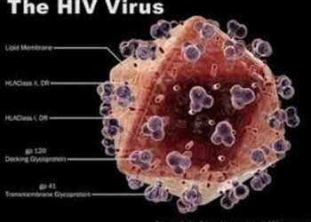 HIV là virus khiến người bệnh suy tàn nhanh chóng