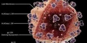 HIV là virus khiến người bệnh suy tàn nhanh chóng