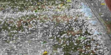 Mưa đá với các hạt rắn có kích thước khác nhau nhưng cực nguy hiểm