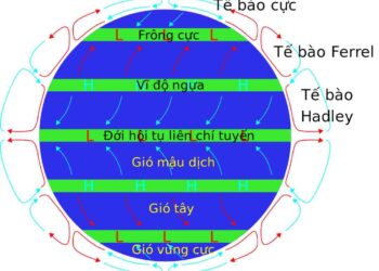 Gió tây ôn đới là loại gió gì đã được giải đáp cụ thể