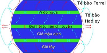 Gió tây ôn đới là loại gió gì đã được giải đáp cụ thể