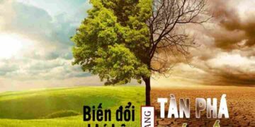 Biến đổi khí hậu chính là sự thay đổi của hệ thống khí hậu từ tầng sinh quyển