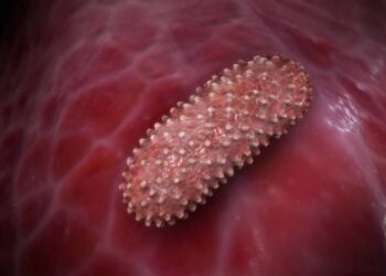 Dịch hạch là một bệnh truyền nhiễm nguy hiểm đến tính mạng