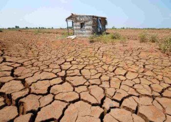 Ô nhiễm đất - sự xuất hiện thêm nhiều thành phần độc hại trong đất