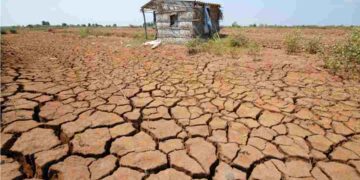 Ô nhiễm đất - sự xuất hiện thêm nhiều thành phần độc hại trong đất