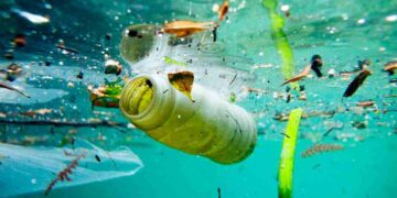 Ô nhiễm nước là sự biến đổi trong chất lượng nước, thành phần