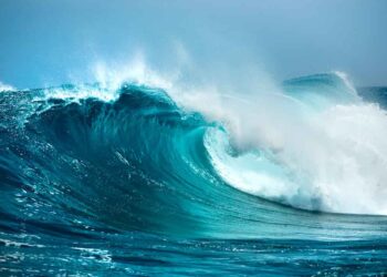 Có một nguồn năng lượng lớn chuyển động lan truyền theo sóng