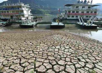 Ảnh hưởng của hạn hán đến xã hội loài người và tự nhiên