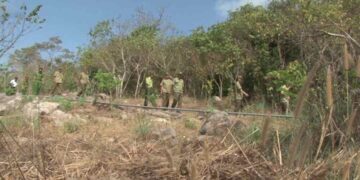 Biện pháp chống cháy rừng được các địa phương sử dụng