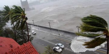 Dấu hiệu nhân biệt sóng thần mà mọi người nên tìm hiểu