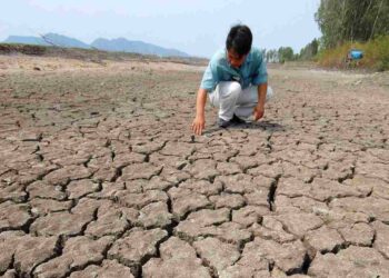 Nguyên nhân của hạn hán đến từ con người và tự nhiên