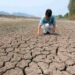 Nguyên nhân của hạn hán đến từ con người và tự nhiên