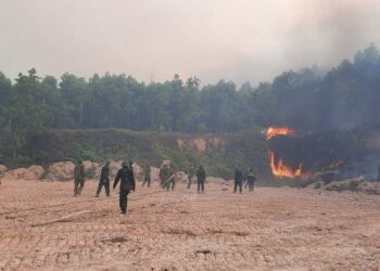 Nguyên nhân gây ra cháy rừng phần lớn là do con người