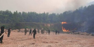 Nguyên nhân gây ra cháy rừng phần lớn là do con người