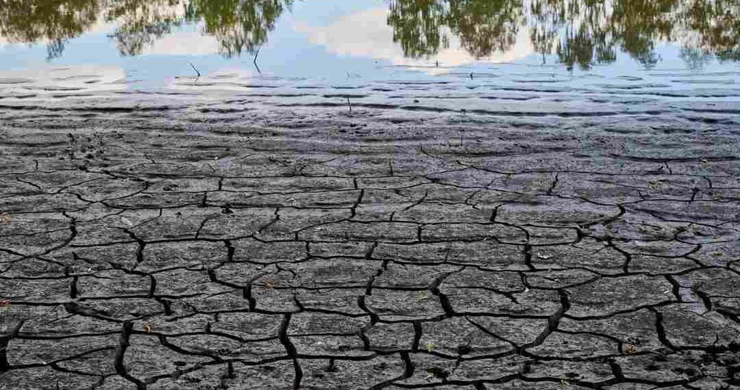 Hạn hán trên thế giới đang diễn ra ở khắp các con sông lớn