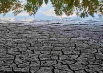 Hạn hán trên thế giới đang diễn ra ở khắp các con sông lớn