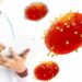 vắc xin phòng ngừa bệnh đậu mùa