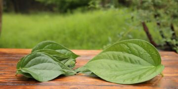 Top 12 cách trị phong ngứa tại nhà người bệnh không nên bỏ qua