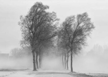 Gió mùa Đông Bắc là gì? Tại sao lại gọi là gió mùa Đông Bắc?