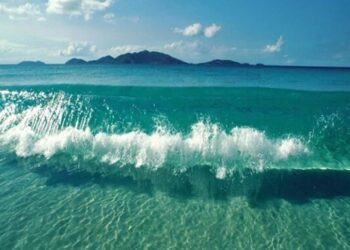 Tìm hiểu về đặc điểm thủy triều, nhật triều, bán triều tại Việt Nam