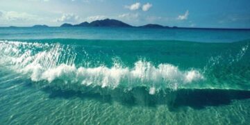 Tìm hiểu về đặc điểm thủy triều, nhật triều, bán triều tại Việt Nam