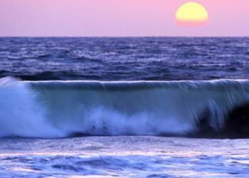 Vì sao có hiện tượng lên xuống của thuỷ triều Địa lí 10