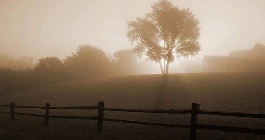 Các loại sương mù