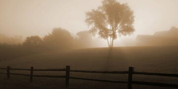 Các loại sương mù