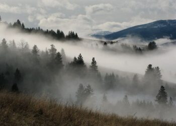 Sương mù đối lưu là gì