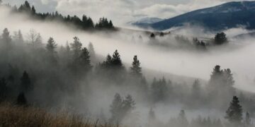 Sương mù đối lưu là gì