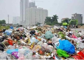 tác hại của ô nhiễm môi trường đất